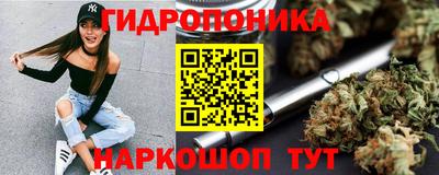 винт Будённовск