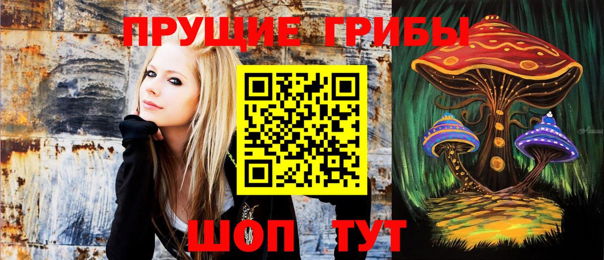 Топки  Псилоцибиновые грибы прущие грибы  Вход с VPN 